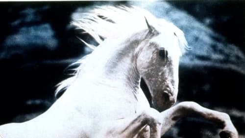 Still image taken from Silver Stallion