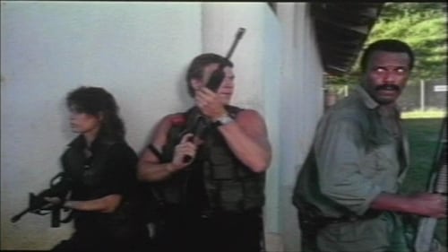 Still image taken from The Black Cobra 3