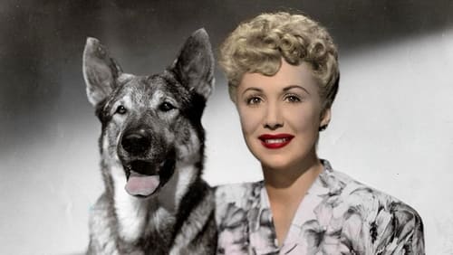 Still image taken from The Return of Rin Tin Tin