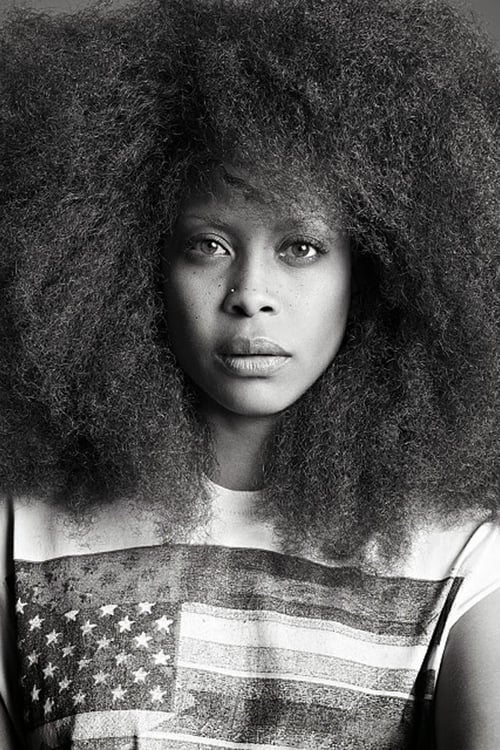 Picture of Erykah Badu