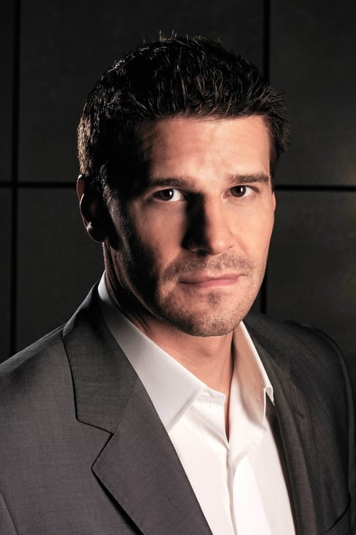 Picture of David Boreanaz