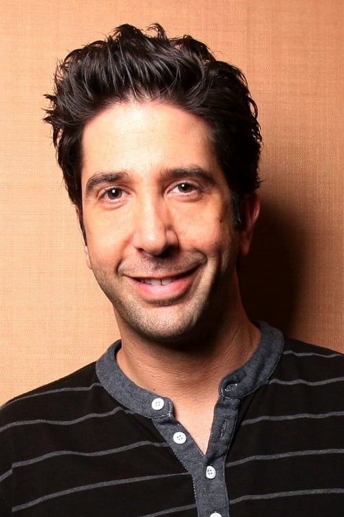 Picture of David Schwimmer