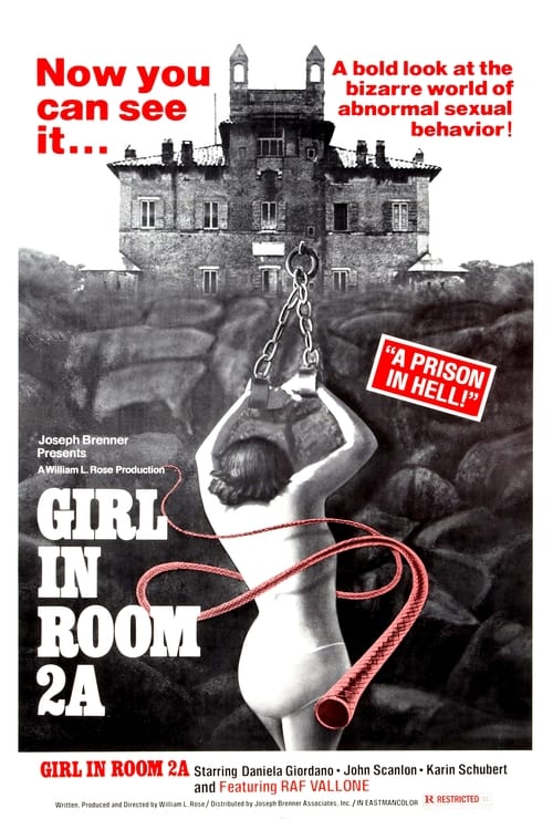 The Girl in Room 2A