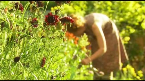 Still image taken from The Edible Garden