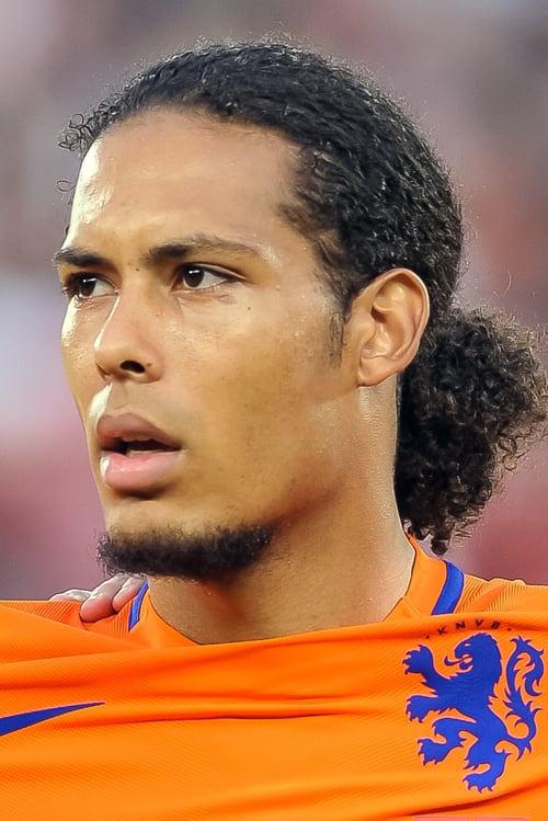 Picture of Virgil van Dijk