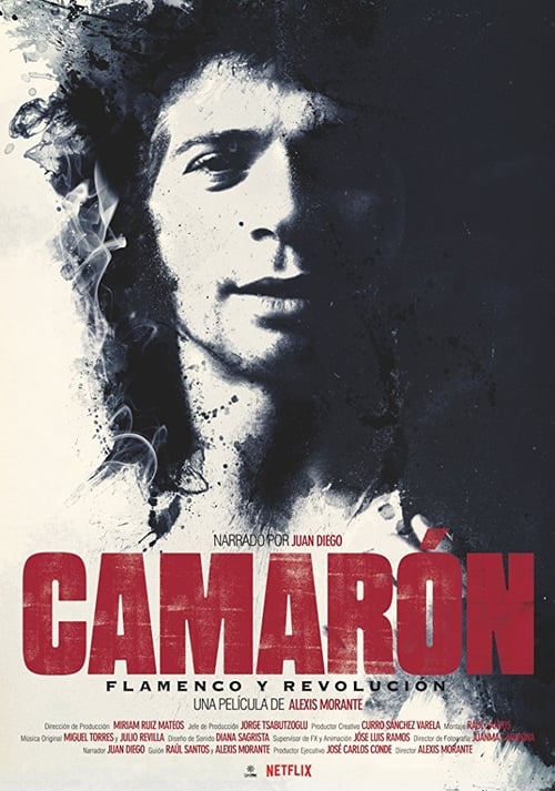 Camarón: The Film