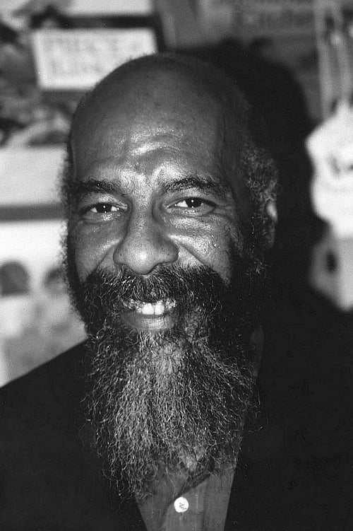 Picture of Richie Havens