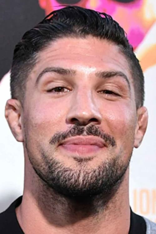 Picture of Brendan Schaub