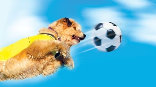 Still image taken from Soccer Dog: European Cup