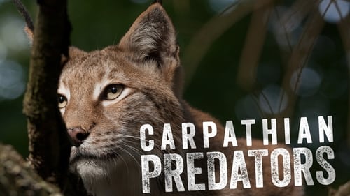 Still image taken from Carpathian Predators