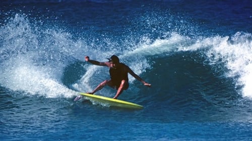 Still image taken from Fish: The Surfboard Documentary