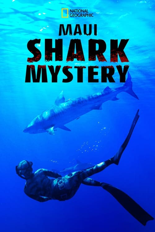 Maui Shark Mystery