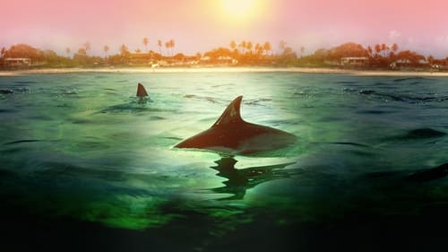 Still image taken from Sharks vs. Dolphins: Bahamas Battleground