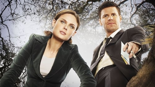 Still image taken from Bones