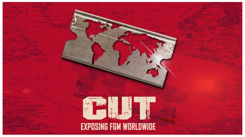 Still image taken from Cut: Exposing FGM Worldwide