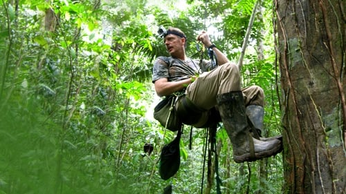 Still image taken from Winged Seduction: Birds of Paradise