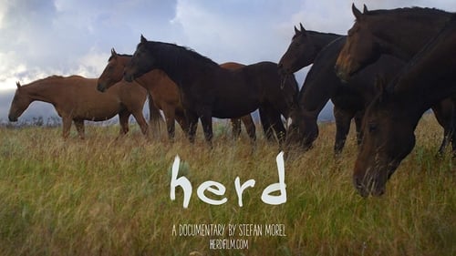 Still image taken from Herd