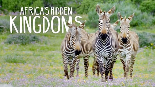 Still image taken from Africa's Hidden Kingdoms