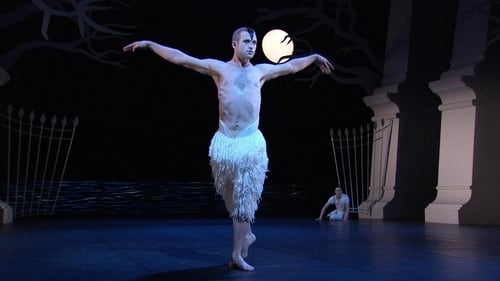 Still image taken from Swan Lake