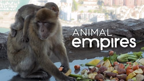 Still image taken from Animal Empires