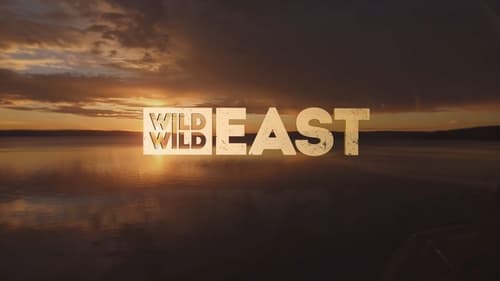 Still image taken from Wild Wild East