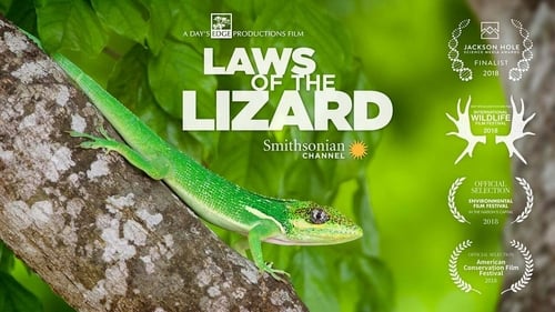 Still image taken from Laws of the Lizard