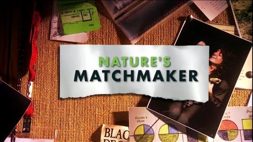 Still image taken from Nature's Matchmaker