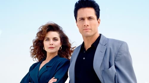 Still image taken from Silk Stalkings