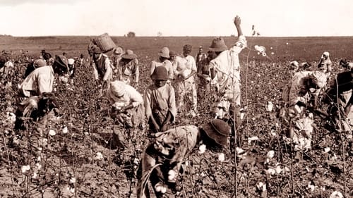 Still image taken from Slavery and the Making of America