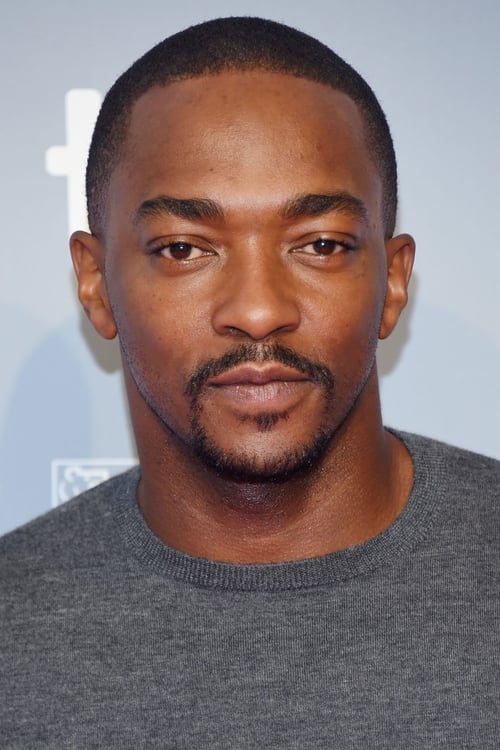 Picture of Anthony Mackie