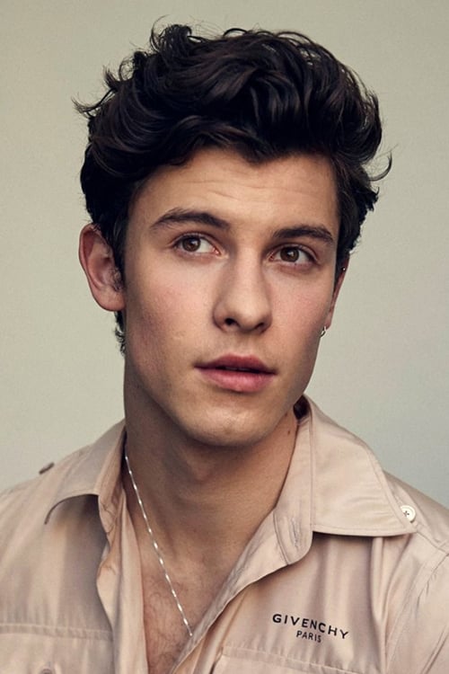 Picture of Shawn Mendes