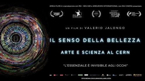 Still image taken from Il senso della bellezza - Arte e scienza al CERN
