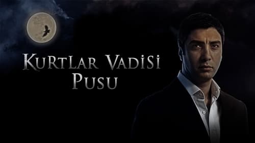 Still image taken from Kurtlar Vadisi: Pusu