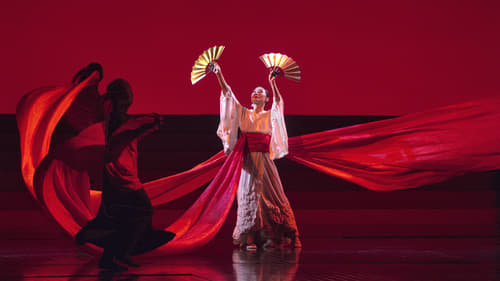 Still image taken from The Metropolitan Opera: Madama Butterfly