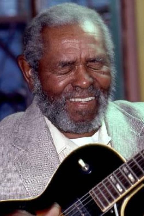 Picture of Brownie McGhee