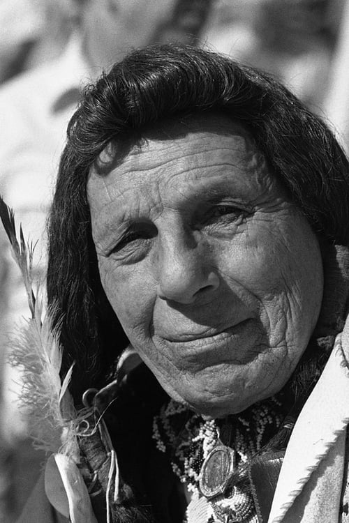 Picture of Iron Eyes Cody