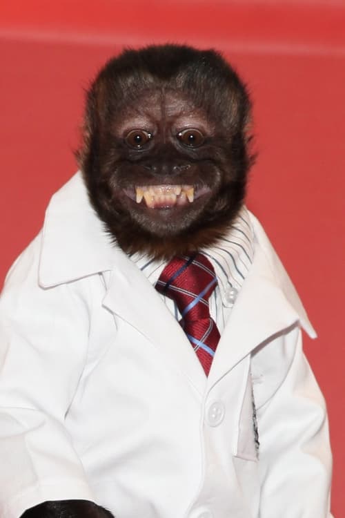 Picture of Crystal the Monkey
