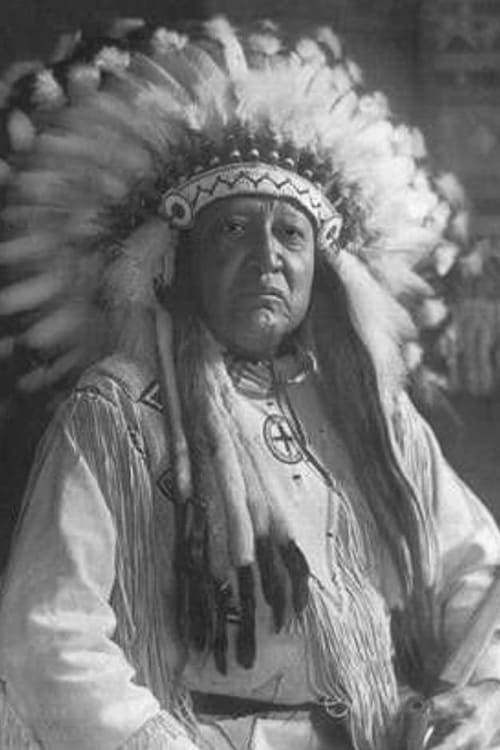 Picture of Chief Thunderbird