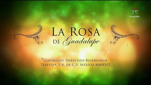 Still image taken from La rosa de Guadalupe