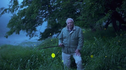 Still image taken from Attenborough's Life That Glows