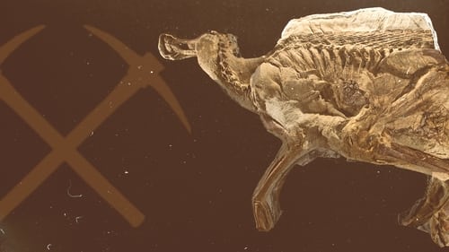 Still image taken from Secrets of the Dinosaur Mummy