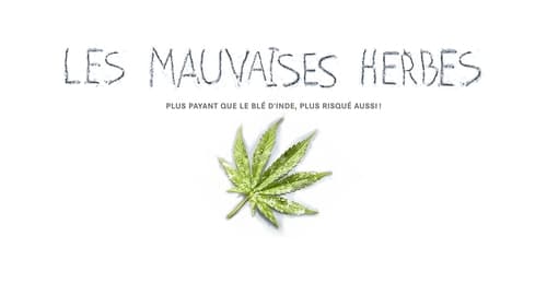 Still image taken from Les mauvaises herbes