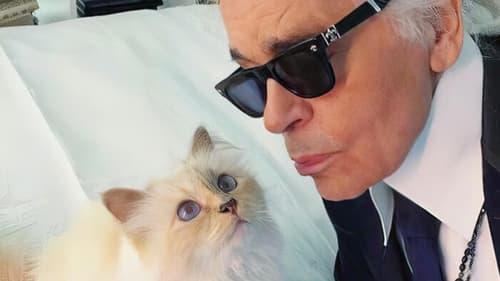 Still image taken from The Mysterious Mr. Lagerfeld