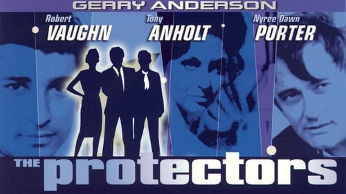 Still image taken from The Protectors