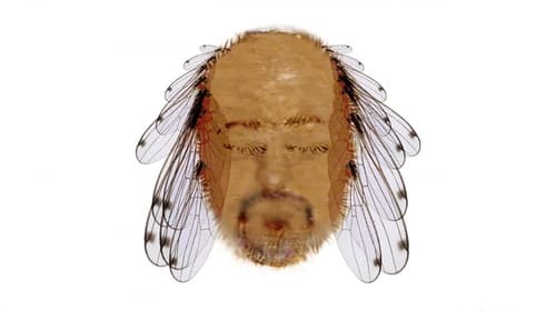 Still image taken from Bill Bailey: Tinselworm