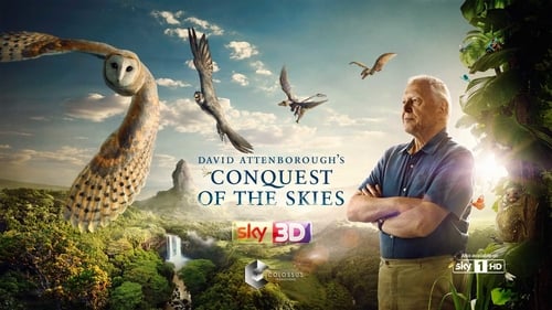 Still image taken from David Attenborough's Conquest of the Skies