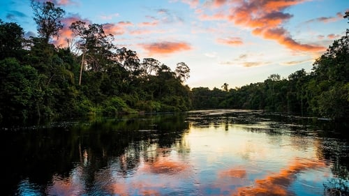 Still image taken from Earth's Great Rivers