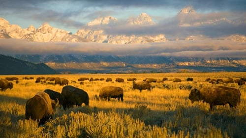 Still image taken from America's National Parks