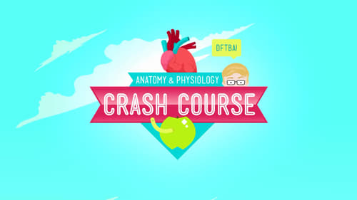 Still image taken from Crash Course Anatomy & Physiology