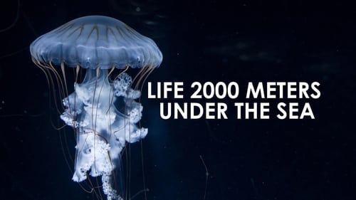 Still image taken from Life 2,000 Meters Under the Sea